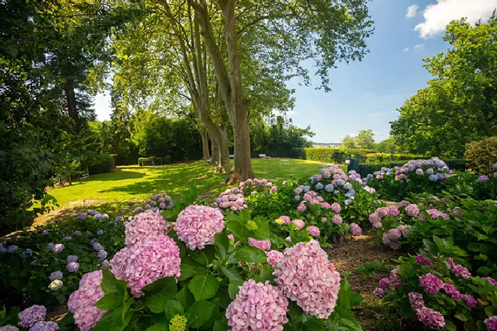 Le parc et les espaces extérieurs de la clinique